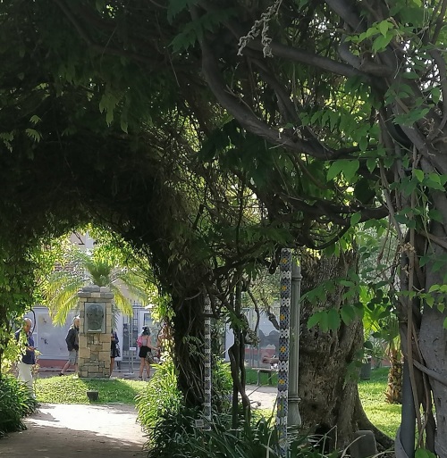 SULLE TRACCE DEL REALE