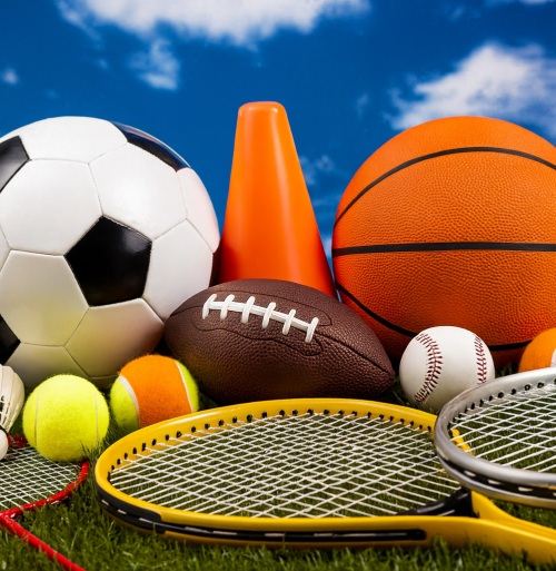 FESTIVAL OF SPORT