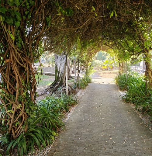 Giardini Monet